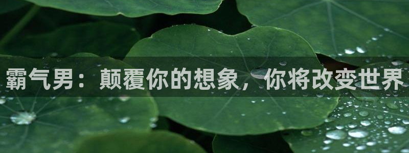 樱花动漫拔萝卜