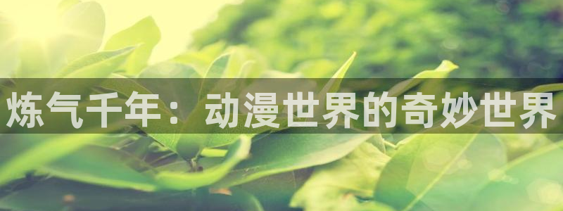 樱花动漫全职法师