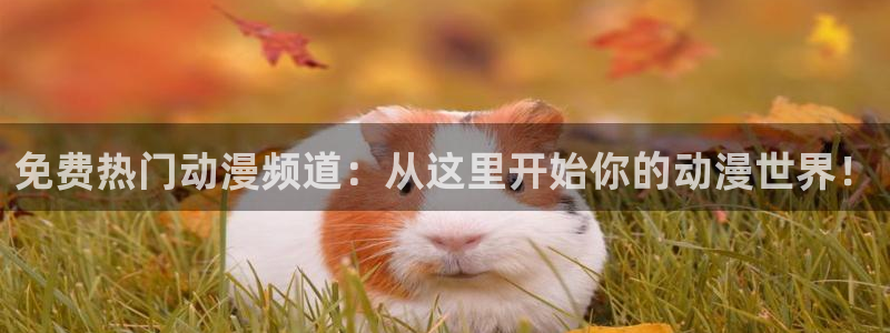 樱花动漫埃及猫动画原版视频