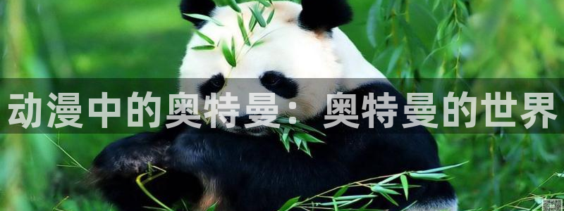 航海王樱花动漫免费观看全集：动漫中的奥特曼：奥特曼的世界