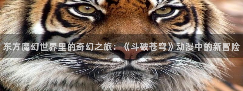 航海王在线观看樱花动漫