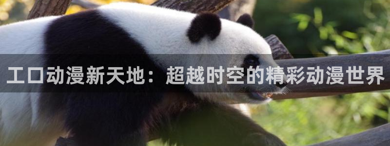 樱花动漫动漫大全