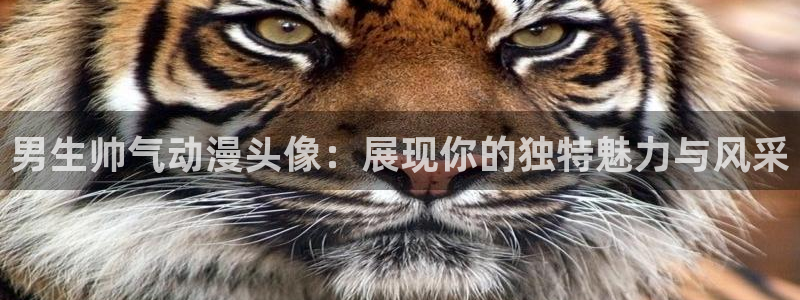 孤独摇滚在线观看免费樱花动漫
