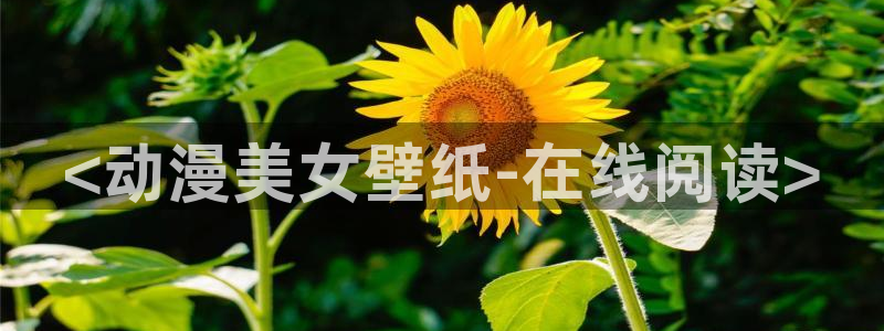 overlord第五季樱花动漫免费看