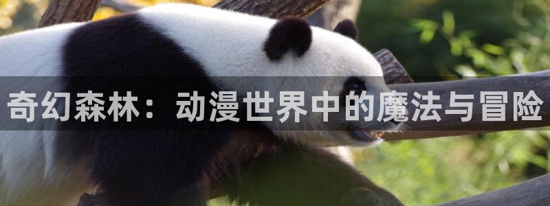 魅魔猎人樱花动漫免费观看