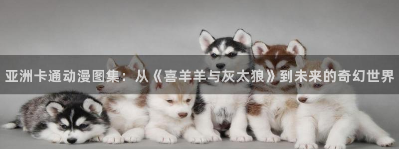 樱花动漫观看大全免费