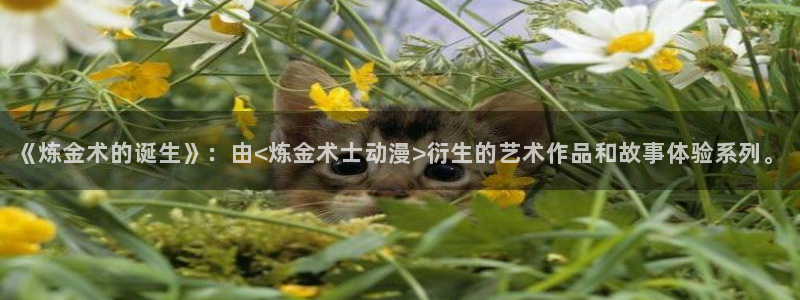 迷家樱花动漫