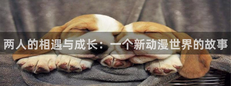 一樱花动漫官网在线观看
