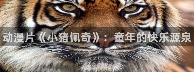 樱花动漫网战