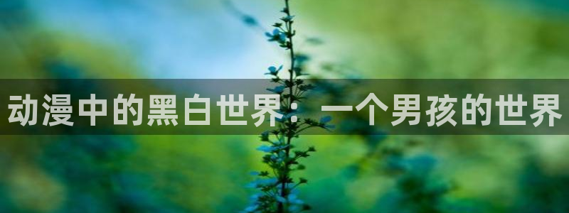 樱花动漫在线观看免费版