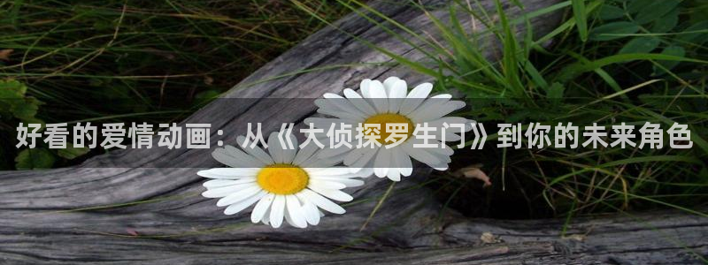 全职猎人免费观看完整版樱花动漫