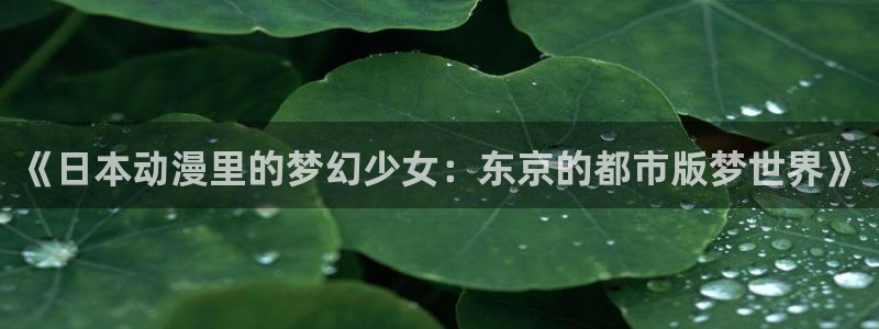 彻夜之歌第一季樱花动漫