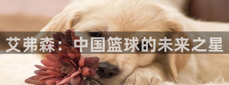 乳母樱花动漫
