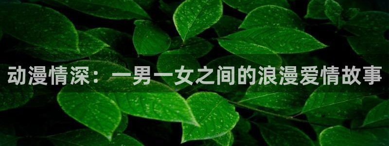 白色相簿樱花动漫