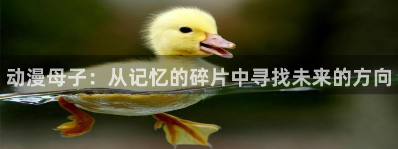 全职高手第五季樱花动漫