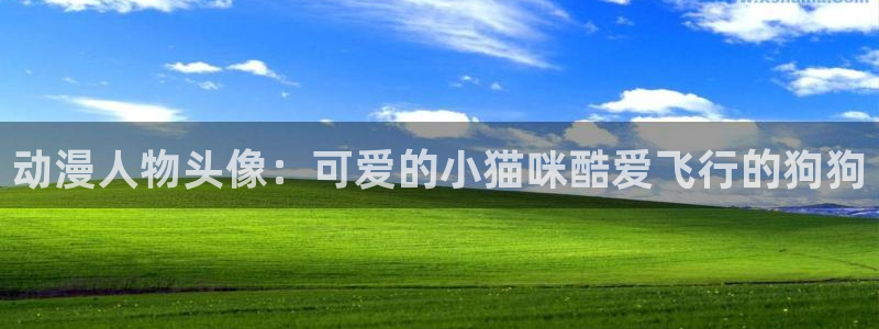 樱花动漫专区