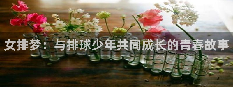 百炼成神樱花动漫：女排梦：与排球少年共同成长的青春故事