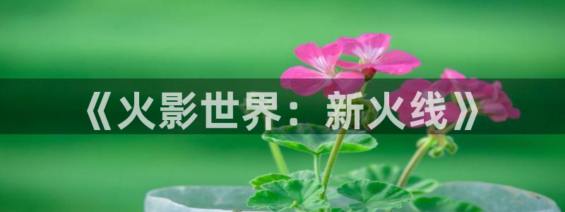 樱花动漫观看正版平台：《火影世界：新火线》