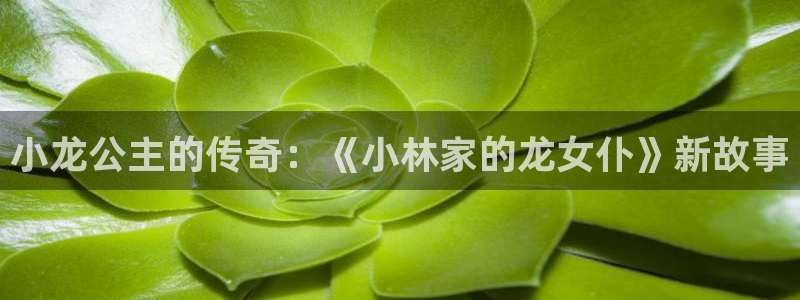 八尺大人樱花动漫无删减