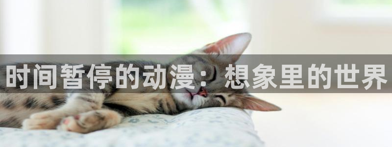 樱花动漫官网在线免费观看