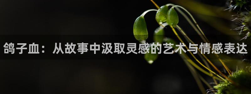 樱花动漫凡人修仙