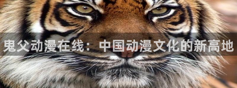 魔装学园2季樱花动漫