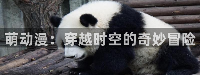 樱花动漫专门户网站