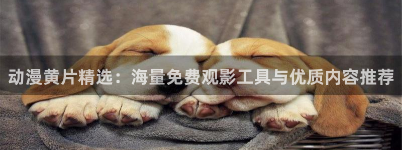 imomoe樱花动漫专注动漫的门户网站下载