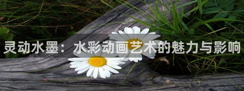 樱花动漫在线观看动漫免费